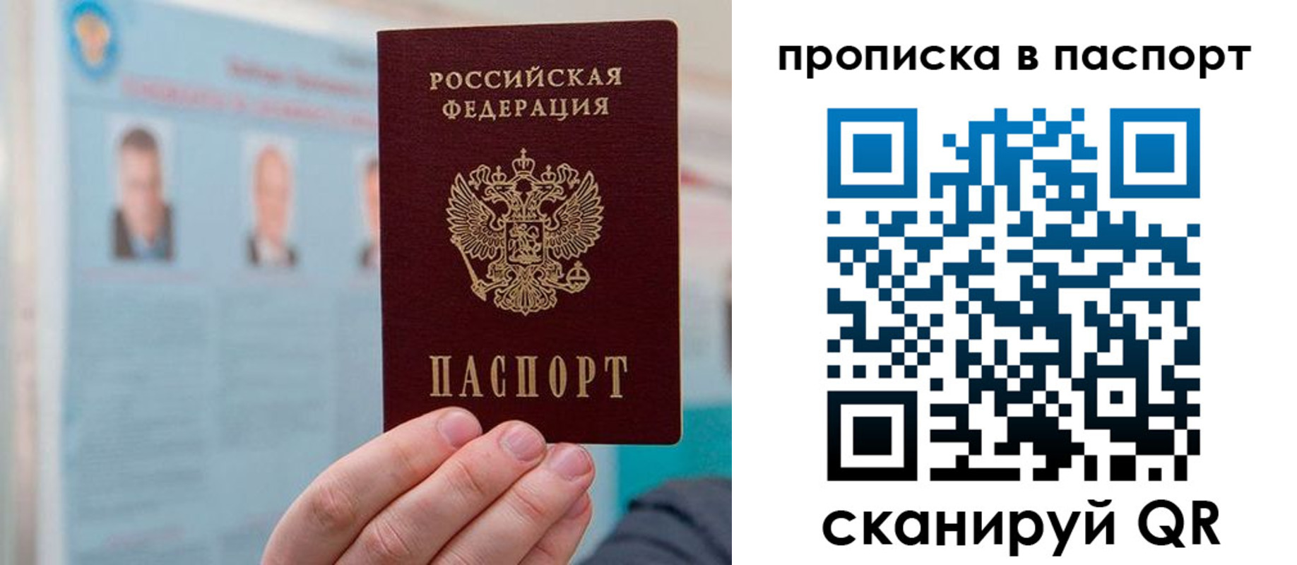 прописка гарантия в Иваново